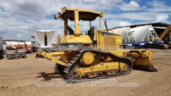 Bulldozer-Cat-D5nXl-0793-17