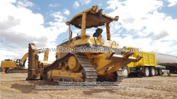 Bulldozer-Cat-D5nXl-0793-5