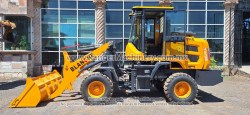 Payloader-Blanche-Tw36-D306-11