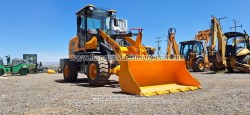 Payloader-Blanche-Tw36-D306-13