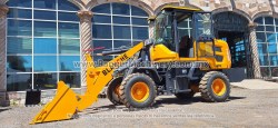 Payloader-Blanche-Tw36-D306-16