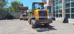 Payloader-Blanche-Tw36-D306-17