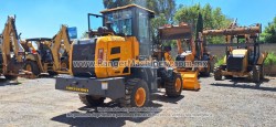 Payloader-Blanche-Tw36-D306-19