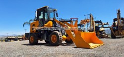 Payloader-Blanche-Tw36-D306-1
