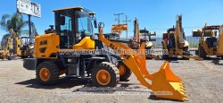 Payloader-Blanche-Tw36-D306-20