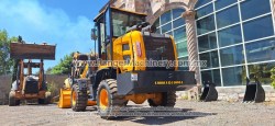 Payloader-Blanche-Tw36-D306-3
