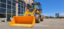 Payloader-Blanche-Tw36-D306-9
