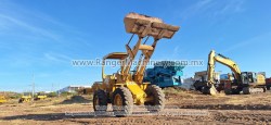 Payloader-Cat-910-6348-7