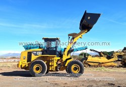 Payloader-Cat-938h-1298-10