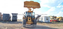 Payloader-Cat-950L-0270-16