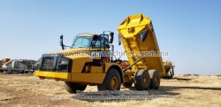 Yucle-Cat-735b-0420-7